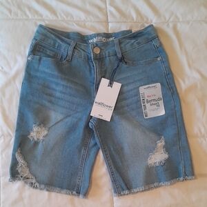 Wallflower Light Blue Distressed Bermuda Shorts